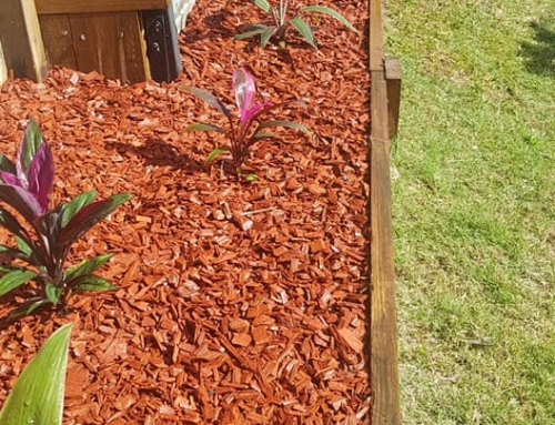 Garden Design – Red Cypress Mulch