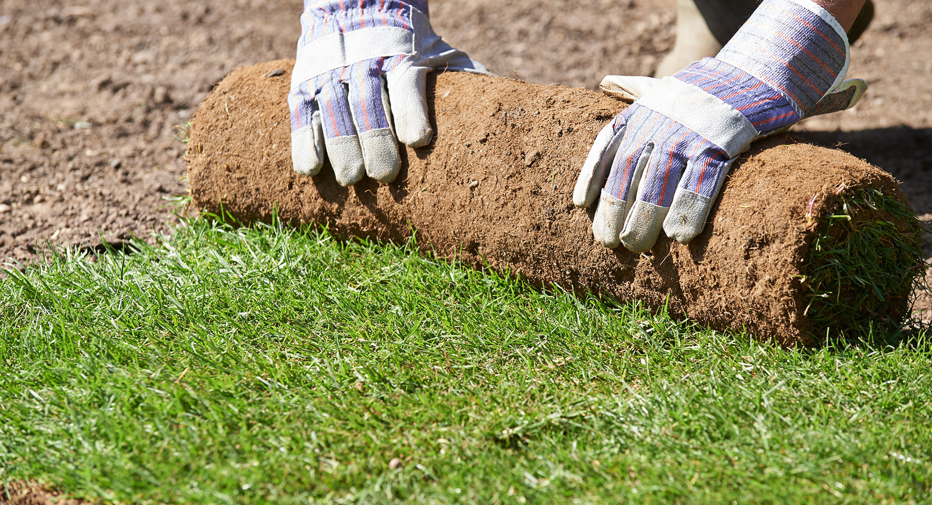 Lawn Turfing Northern Gold Coast